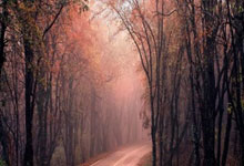 500万即时完场比分直播靠谱吗？怎么用它看赛事数据？